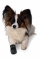 Mobile Preview: Trixie Walker Care Pfotenschutz-Stiefel XL