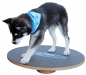 Mobile Preview: FitPAWS® Balance Board 50 cm