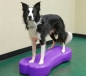 Mobile Preview: FitPAWS® Giant K9FITbone violet