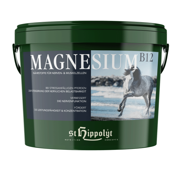 Magnesium B12 2,5 kg
