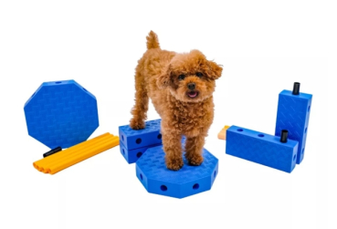 Fitpaws FitKinect Core