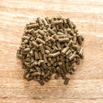 St. Hippolyt Lamin forte 10kg