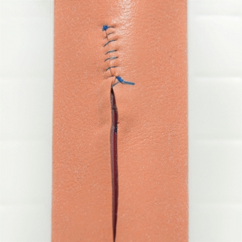 Simuliertes RealSuture Kaninchengewebe