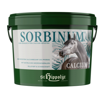 St. Hippolyt Sorbinum Calcium 10 kg
