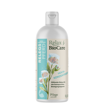 St. Hippolyt Relegs Pferd