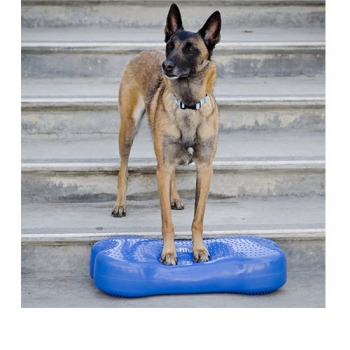 FitPAWS® K9FITbone 58 cm lila