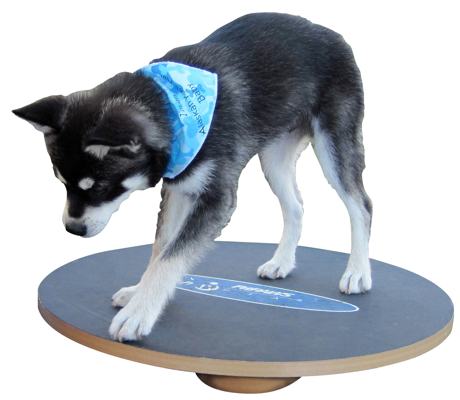 FitPAWS® Balance Board 50 cm Holz grau