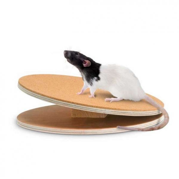 Karlie Flamingo Bogie Disc Laufscheibe mit Korkbeschichtung 30 cm