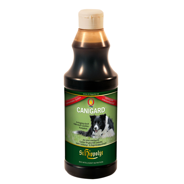 St. Hippolyt Canigard