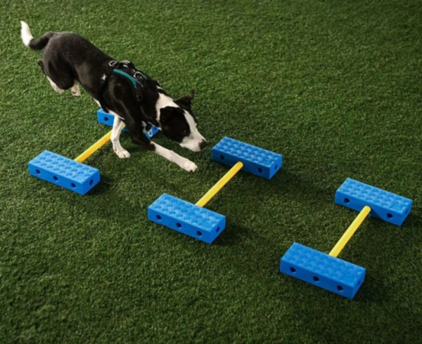 Fitpaws FitKinect Core