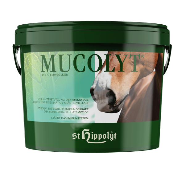 St. Hippolyt Mucolyt Atemwegskur 10 kg