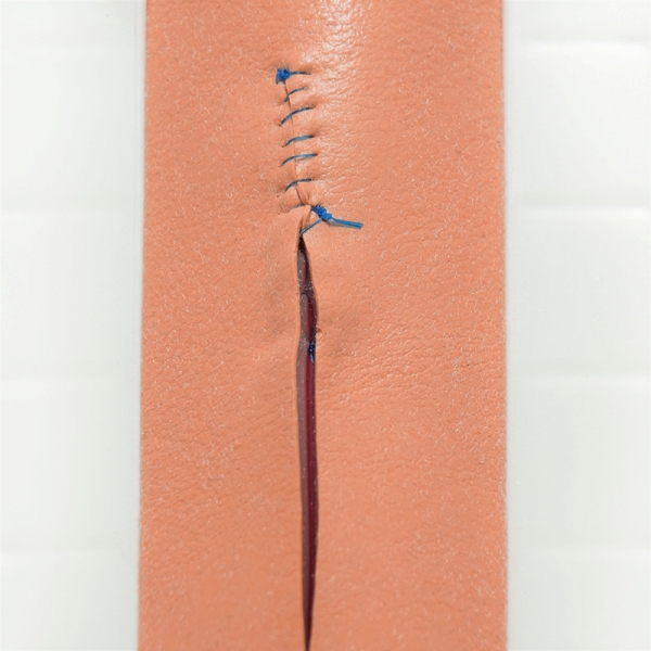 Simuliertes RealSuture Kaninchengewebe