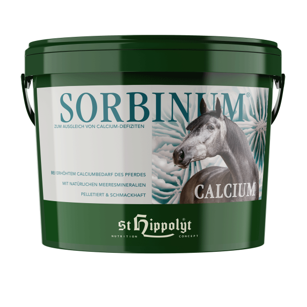 St. Hippolyt Sorbinum Calcium 10 kg