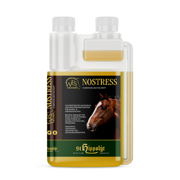 St. Hippolyt WES NoStress