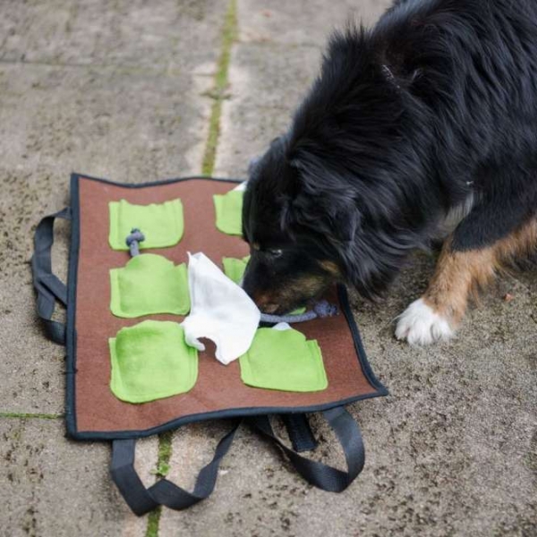 PROCYON ActionSchnüffelmatte