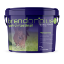 St. Hippolyt Brandon® plus gastrointestinal