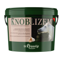 St. Hippolyt Knoblizem 10 kg