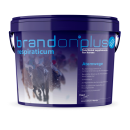 St. Hippolyt Brandon® plus respiraticum 3 kg